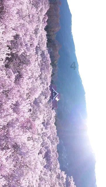 探索知识星球平台226+48+150÷75递等式怎么样计算?,尽享学习与交流盛宴