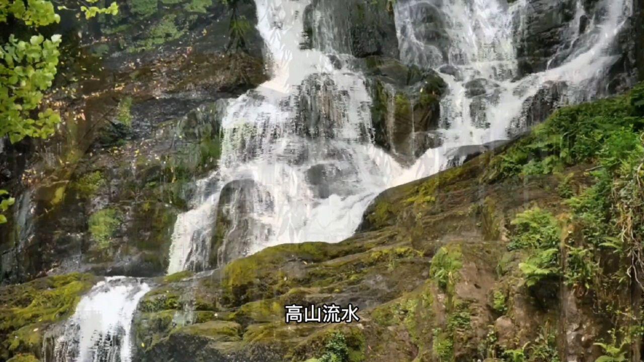 寻找遗失的摩托车