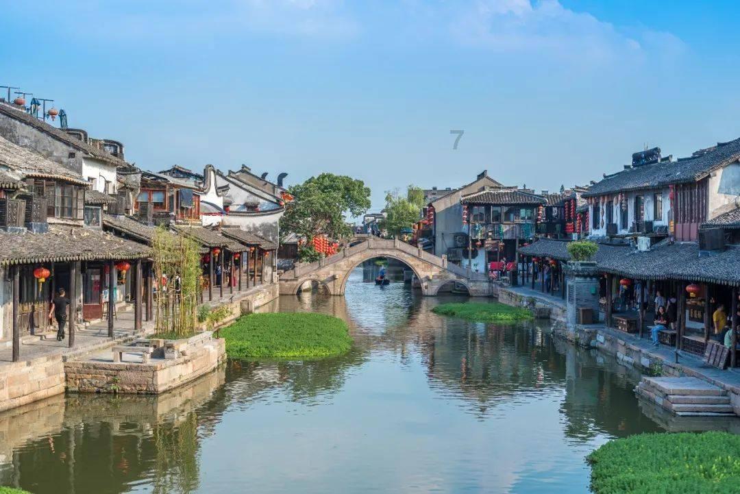 为什么狮子可以群居，而老虎却只能独居？游戏画面