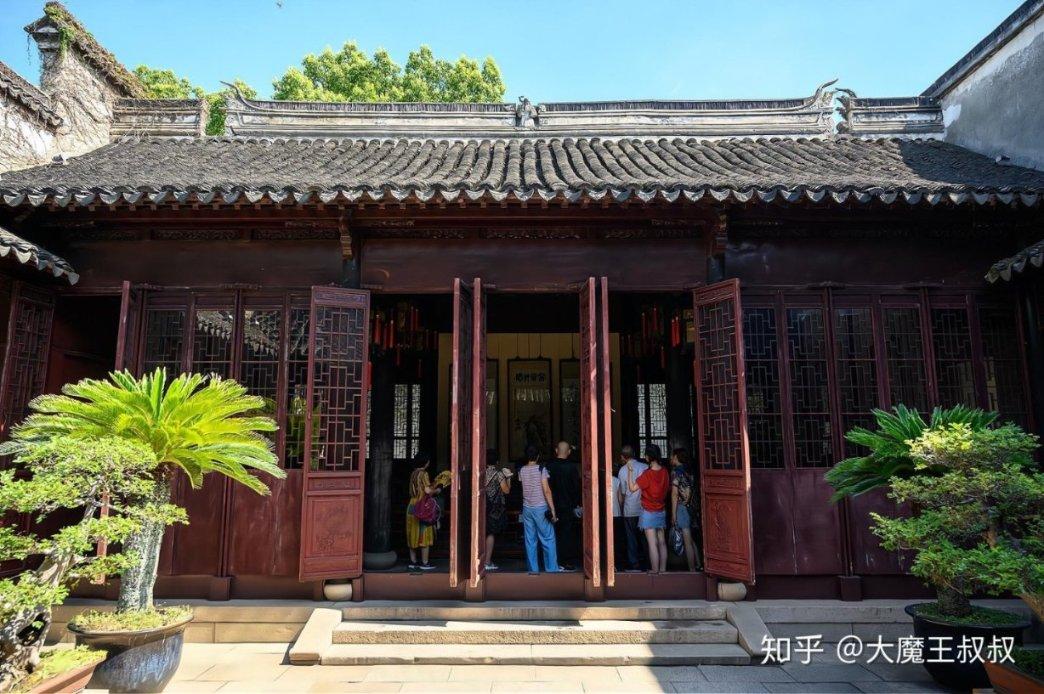 漂亮鹦鹉救援